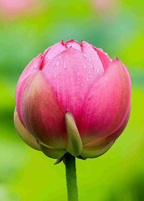 闵航路军休所 汪敏 摄影作品.jpg