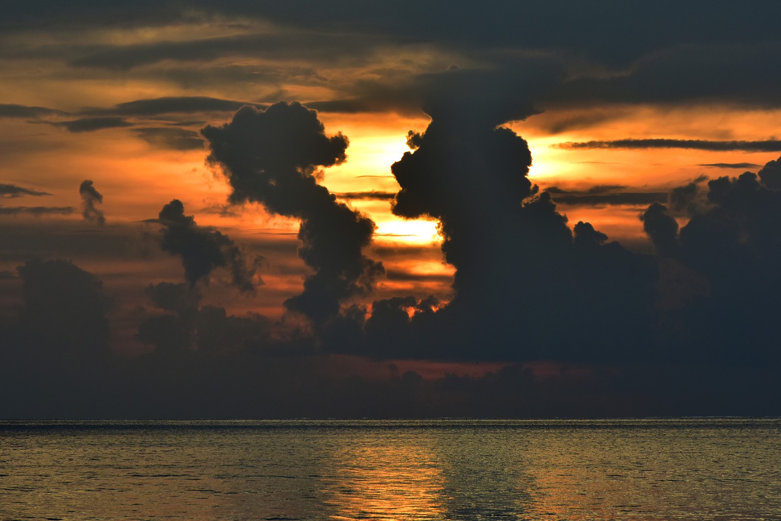 对话 韩家川军休所 路保林 摄.jpg